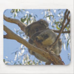 De Koala Mousepad van de slaap Muis Mat