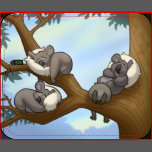 Kid’s Dieren Cadeau 