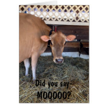 DE KOE VRAAGT "U MOO ZEI? " /LOVE U, OOK WENSKAART