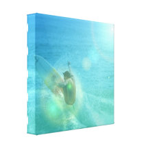 De koele Druk van het Canvas Surfer Canvas Print