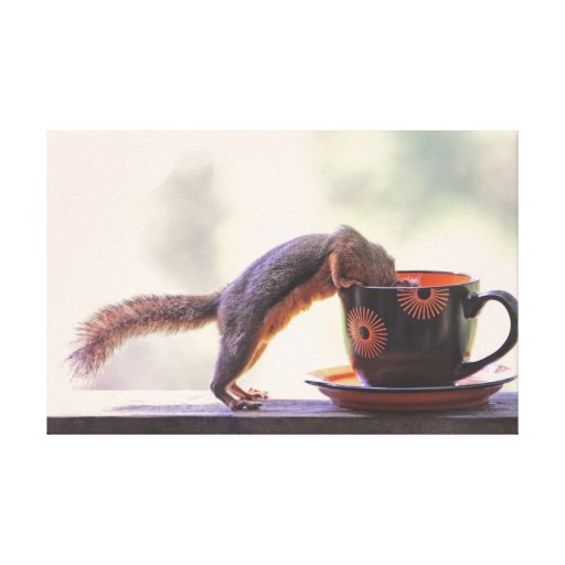 De Kop van de eekhoorn en van de Koffie Canvas Prints