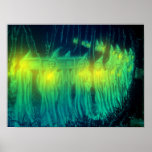 De l'affiche grave de Halloween