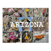 De lente in het Briefkaart van Arizona Wens Kaarten
