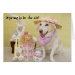 De lente is in de lucht! wenskaarten