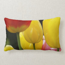De Lente van de Bloemen van de tulp werpt de Tulpe