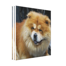 De leuke Druk van het Canvas van de Chow-chow Gallerij Wrap Canvas