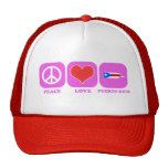 De Liefde Puerto Rico van de vrede Mesh Pet