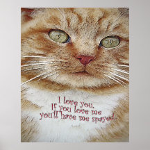 de liefde u castreert me poster