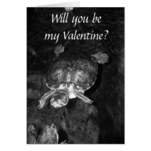 De Liefde van de schildpad Kaarten