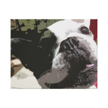 De Liefde van het Gezicht van Frenchie Gallerij Wrapped Canvas