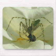 De Lunch Mousepad van de spin Muis Matten
