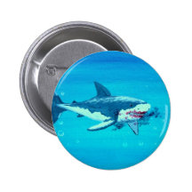 De lunchsnor van de haai buttons