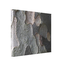 De macrofotografie van de Schors van de boom Canvas Print