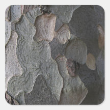 De macrofotografie van de Schors van de boom Stickers