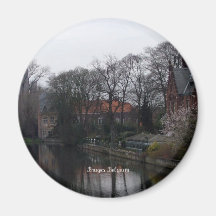 De magneet van de het landschapsijskast van België