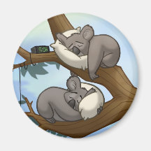 De Magneet van de Koala van de slaap