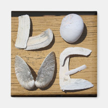 De Magneet van Shell van de LIEFDE