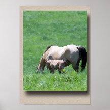 De Merrie van het paard van het Kwart van het daim