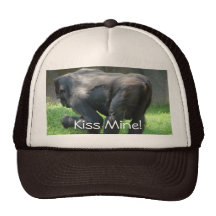 De Mijn van de kus Trucker Petten