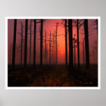De Mist van de zonsondergang Plaat
