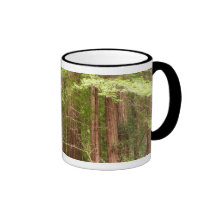 De Mok van de Bomen van de Californische sequoia