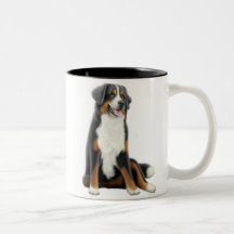 De Mok van de Hond van de Berg van Bernese