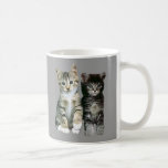 Katten mokken