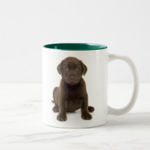 De Mok van Labrador van de chocolade