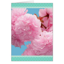 De mooie Bloemen van de Boom van de Kers Kanzan kaarten