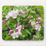 De mooie roze bloesem van de appelboom muismatten