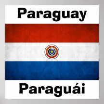 De Nationale Vlag van Paraguay Plaat