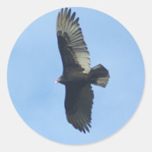 De Ornithologie van de gier Ronde Sticker