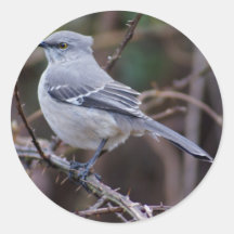 De Ornithologie van de spotlijster Ronde Sticker