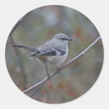 De Ornithologie van de spotlijster Ronde Sticker