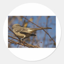 De Ornithologie van de spotlijster Ronde Sticker