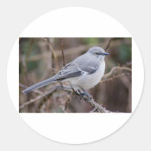 De Ornithologie van de spotlijster Ronde Stickers