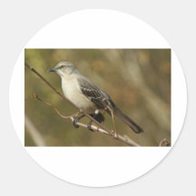 De Ornithologie van de spotlijster Ronde Stickers