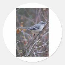 De Ornithologie van de spotlijster Ronde Stickers