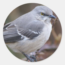 De Ornithologie van de spotlijster Sticker
