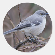 De Ornithologie van de spotlijster Sticker