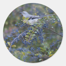De Ornithologie van de spotlijster Stickers