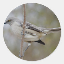 De Ornithologie van de spotlijster Stickers