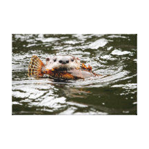 De Otter en de Vissen van de rivier Gallerij Wrap Canvas