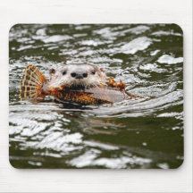 De Otter en de Vissen van de rivier Muis Matten