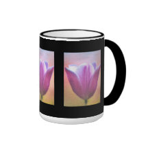 De paarse Mokken van de Tulp