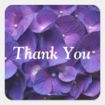 De paarse Sticker van de Hydrangea hortensia Violl