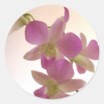 De paarse Stickers van de Orchidee