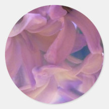 De Pastelkleur van de hyacint Stickers