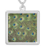 De pauw bevedert Patroon Persoonlijke Ketting