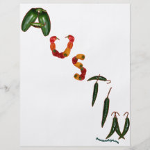 De Peper van de Spaanse peper van Austin Persoonlijke Folder